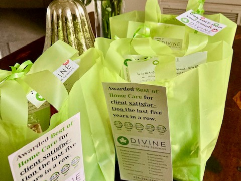 Divine Home Care Services